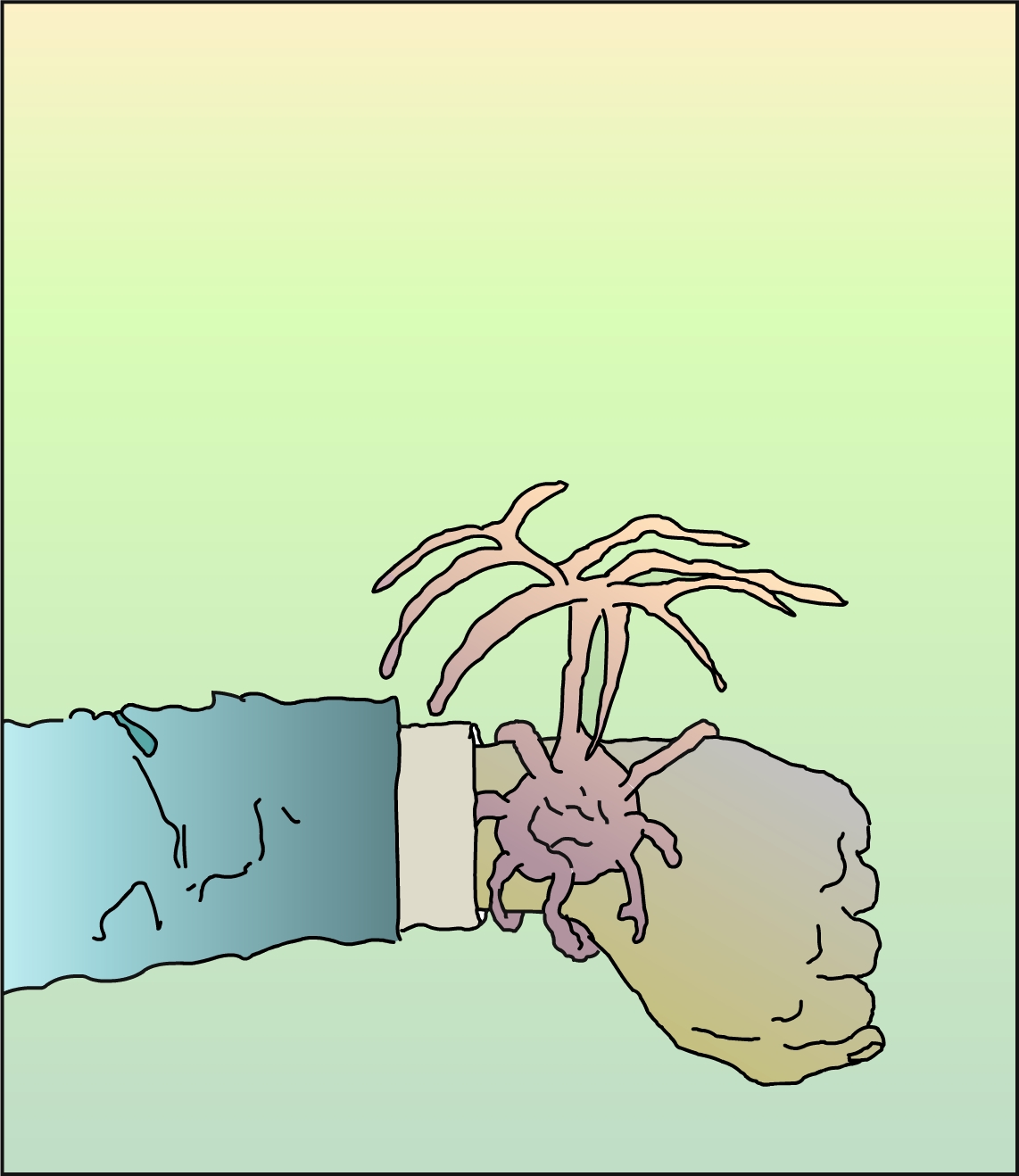 First slide